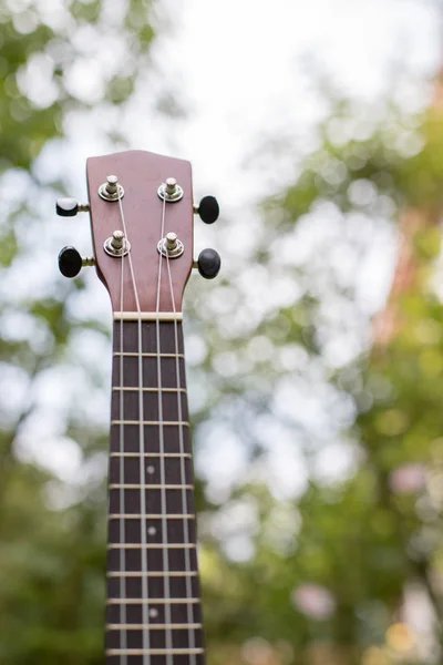 Ukulele standing in a park, blurry park area in the background