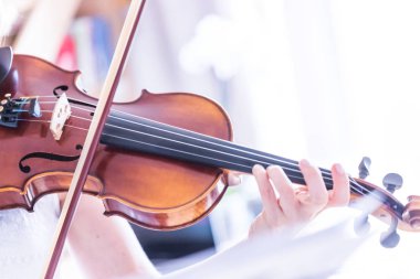 Güzel genç kız kemanıyla, akustik müziğiyle pratik yapıyor.