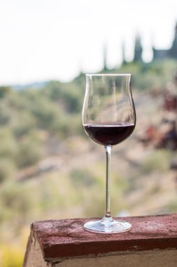 Bir bardak kırmızı şarap, Toskana, İtalya zevk. İçinde belgili tanımlık geçmiş bulanık şarap yard.