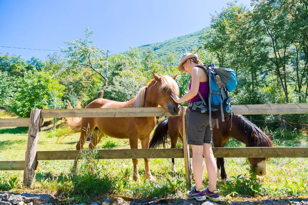 Chica Está Acariciando Caballo Curioso Paddock — Foto de Stock