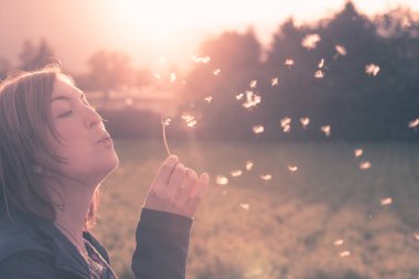 Karahindiba akşam güneşi esiyor genç bir kadın dışarı kesmek