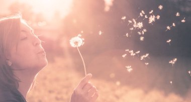 Karahindiba akşam güneşi esiyor genç bir kadın dışarı kesmek