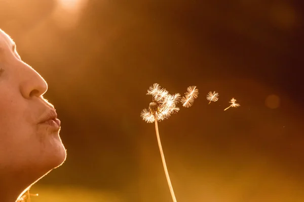 Gesneden Uit Een Jonge Vrouw Die Paardebloem Avondzon Waait — Stockfoto