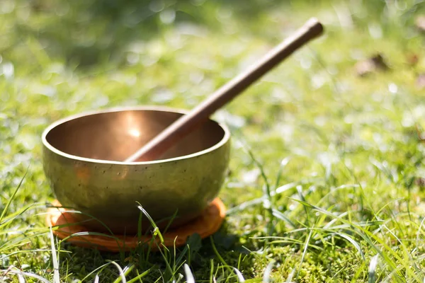 Metal singing bowl in the grass of the own garden, zen