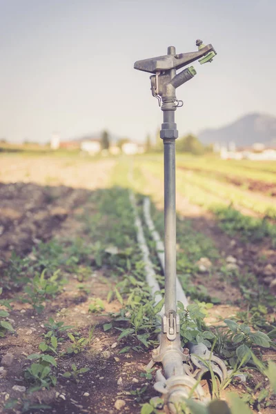 Impianto Irrigazione Campo Agricolo Giorno Estate Terreno — Foto Stock