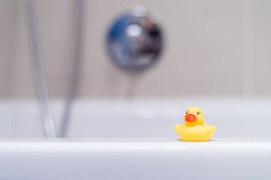 Yellow rubber duck in the bathroom clipart