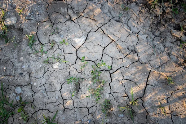 Droge gebarsten bodem over een veld, global warming — Stockfoto