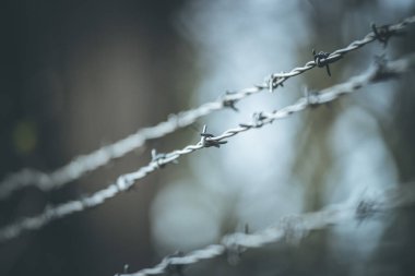 dikenli tel ayıran sınır çizgileri