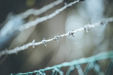 dikenli tel ayıran sınır çizgileri