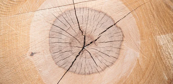 Wooden skär textur, närbild — Stockfoto