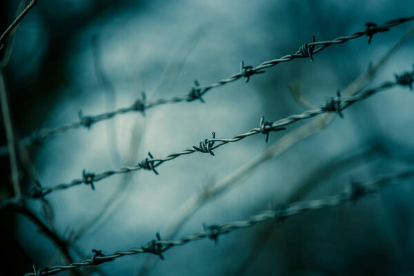 Lines of barbed wire to demarcate the border