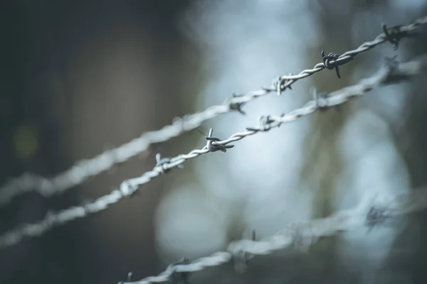 Lijnen van prikkeldraad af te bakenen de grens — Stockfoto