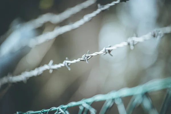 Lijnen van prikkeldraad af te bakenen de grens — Stockfoto