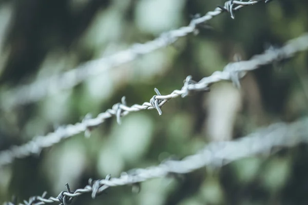 Lijnen van prikkeldraad af te bakenen de grens — Stockfoto