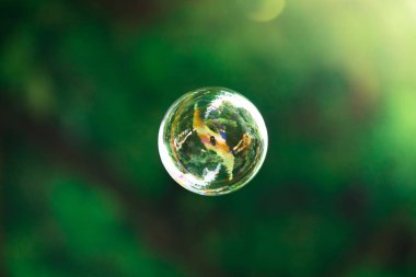 Sabun köpüğü yaz saati havada yüzer