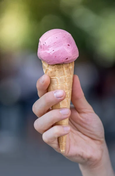 Woman is holding strawberry ice cream in her hand, beautiful sum — Stock Photo, Image