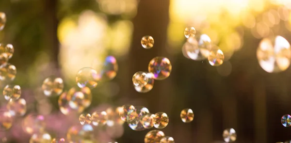 Bulles de savon flottant dans l'air, heure d "été — Photo