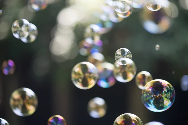 Soap bubbles floating in the air, summer time — Stock Photo, Image
