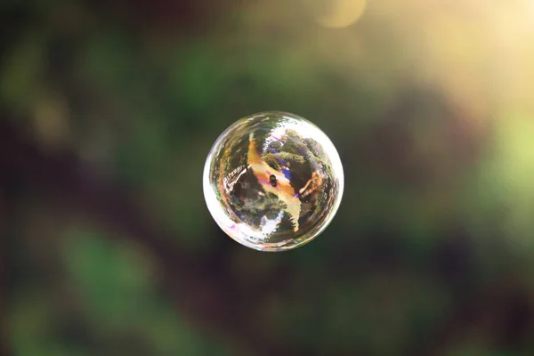 Мильні бульбашки плавають у повітрі, літній час — стокове фото