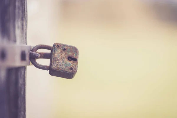Rusty old padlock at a door, close up — Stock Photo, Image