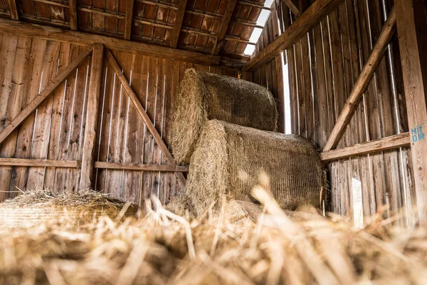 Fardos de palha / feno armazenados no interior de uma exploração agrícola, rural — Fotografia de Stock