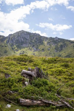 Pastoral dağ manzarası Alpleri'nde: bana güzel sahne
