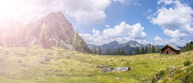 Pastoral dağ manzarası Alpleri'nde: Mountain chalet, çayırlar