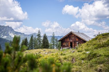 Pastoral dağ manzarası Alpleri'nde: Mountain chalet, çayırlar