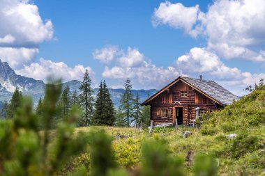 Pastoral dağ manzarası Alpleri'nde: Mountain chalet, çayırlar
