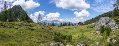 Pastoral dağ manzarası Alpleri'nde: Mountain chalet, çayırlar