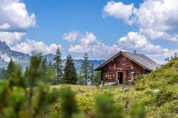 Paysage montagneux idyllique dans les Alpes : Chalet de montagne, prairies — Photo