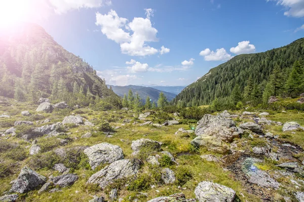 Альпійський пейзаж: кам'янисті луг, ліс, горах та Синє небо — стокове фото