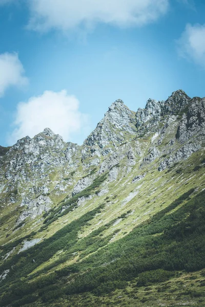 오스트리아 알프스, 엽서에에서 거친 산맥 — 스톡 사진