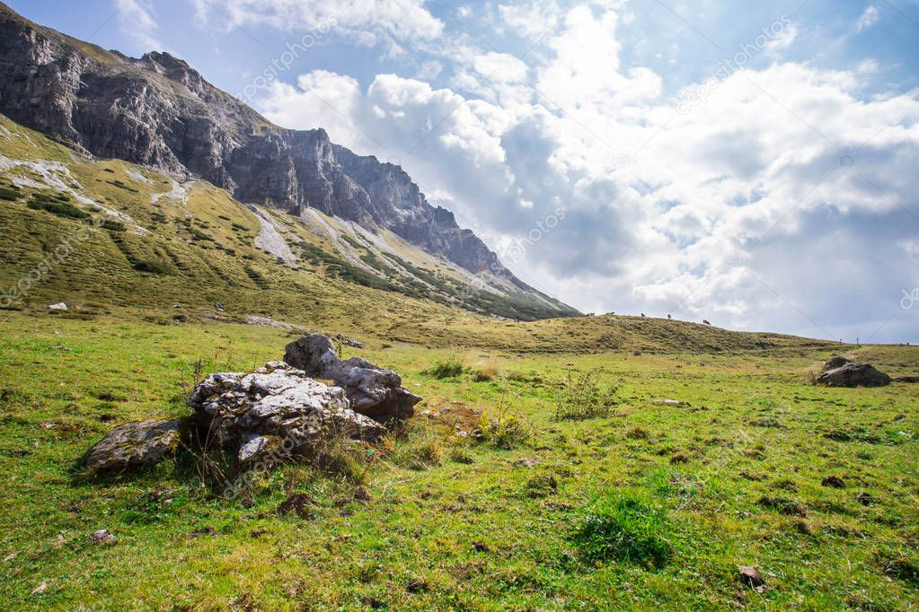 Alpine landscape: Meadow, mountains and blue sky