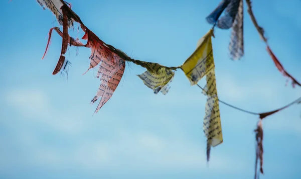 西藏祈祷旗, 蓝天 — 图库照片