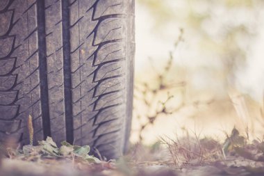 Çölde, araba lastik yakın safari