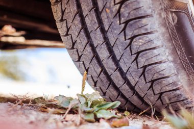 Çölde, araba lastik yakın safari