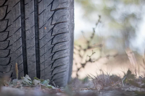 Gros plan sur les pneus de voiture dans le désert, safari — Photo