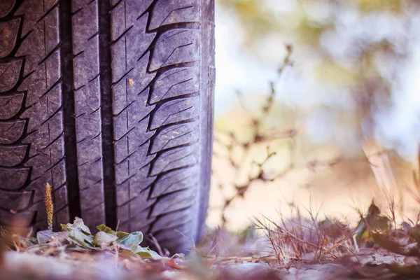 Primer plano del neumático del coche en el desierto, safari — Foto de Stock