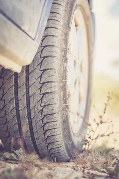 가까이, 사막에서 자동차 타이어의 사파리 — 스톡 사진
