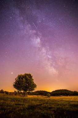 Gece sahne: yıldız, çayır ve bir ağaç. Mor ve sıcak tonlar