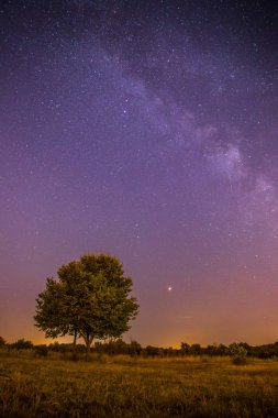 Gece sahne: yıldız, çayır ve bir ağaç. Mor ve sıcak tonlar