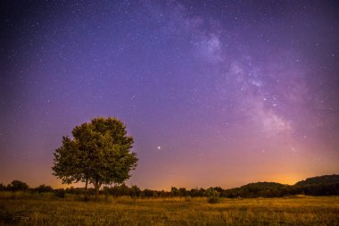 Gece sahne: yıldız, çayır ve bir ağaç. Mor ve sıcak tonlar