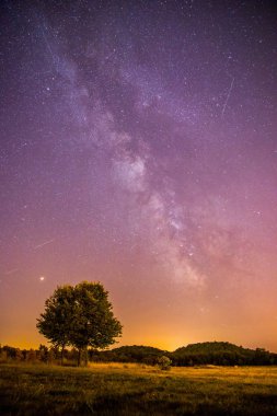 Gece sahne: yıldız, çayır ve bir ağaç. Mor ve sıcak tonlar