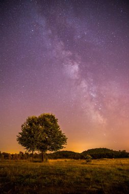 Gece sahne: yıldız, çayır ve bir ağaç. Mor ve sıcak tonlar
