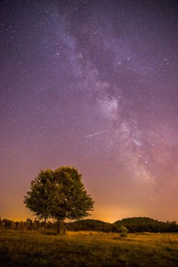 Gece sahne: yıldız, çayır ve bir ağaç. Mor ve sıcak tonlar
