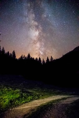 Açıkça Samanyolu galaksinin karanlık gece, ağaçlar silüeti