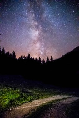 Açıkça Samanyolu galaksinin karanlık gece, ağaçlar silüeti