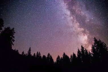 Açıkça Samanyolu galaksinin karanlık gece, ağaçlar silüeti