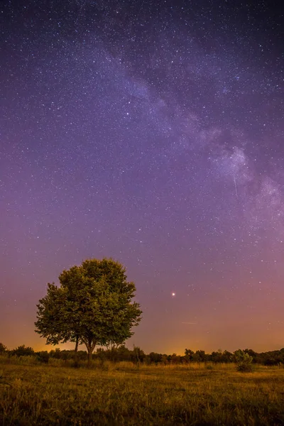 Paysage nocturne : étoiles, prairie et un arbre. Des tons violets et chauds — Photo